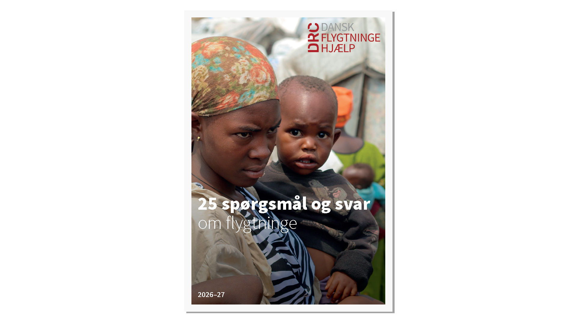 Publikationen giver blandt andet svar på